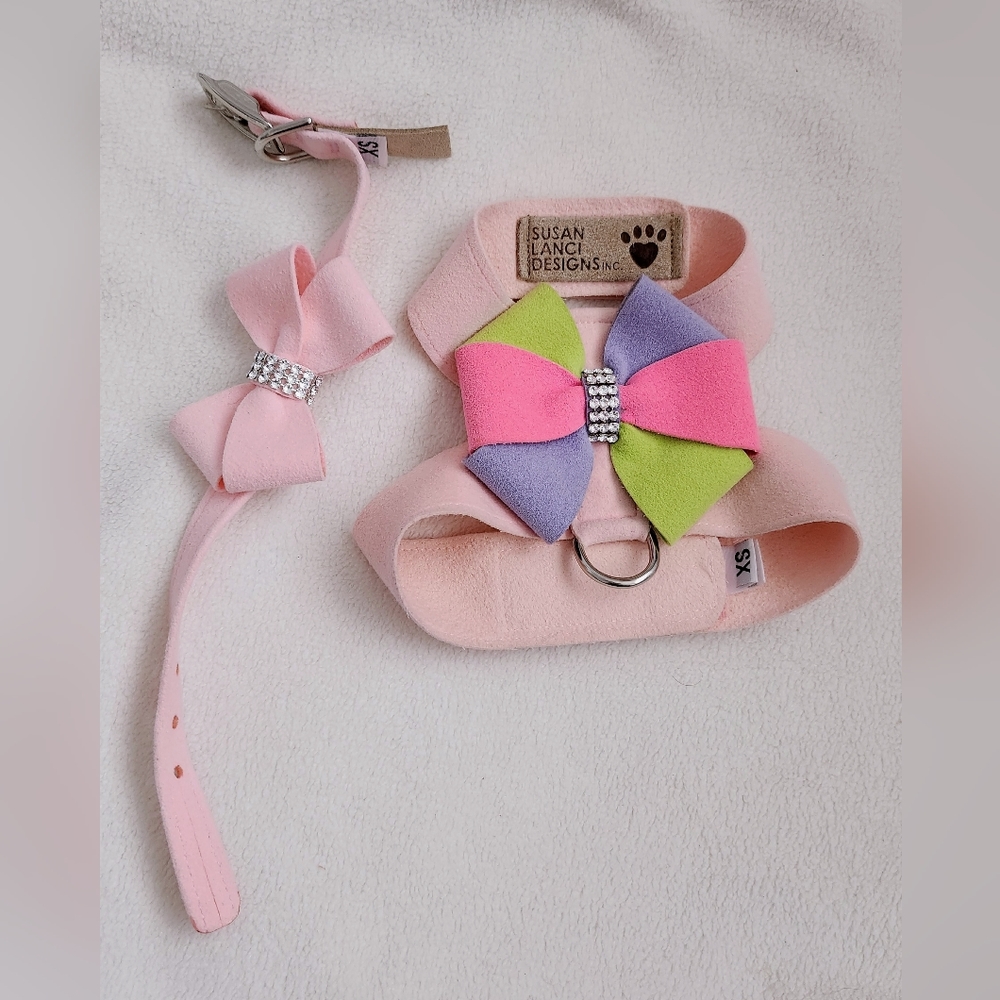 Susan Lanci Harness + Collar (XS)
